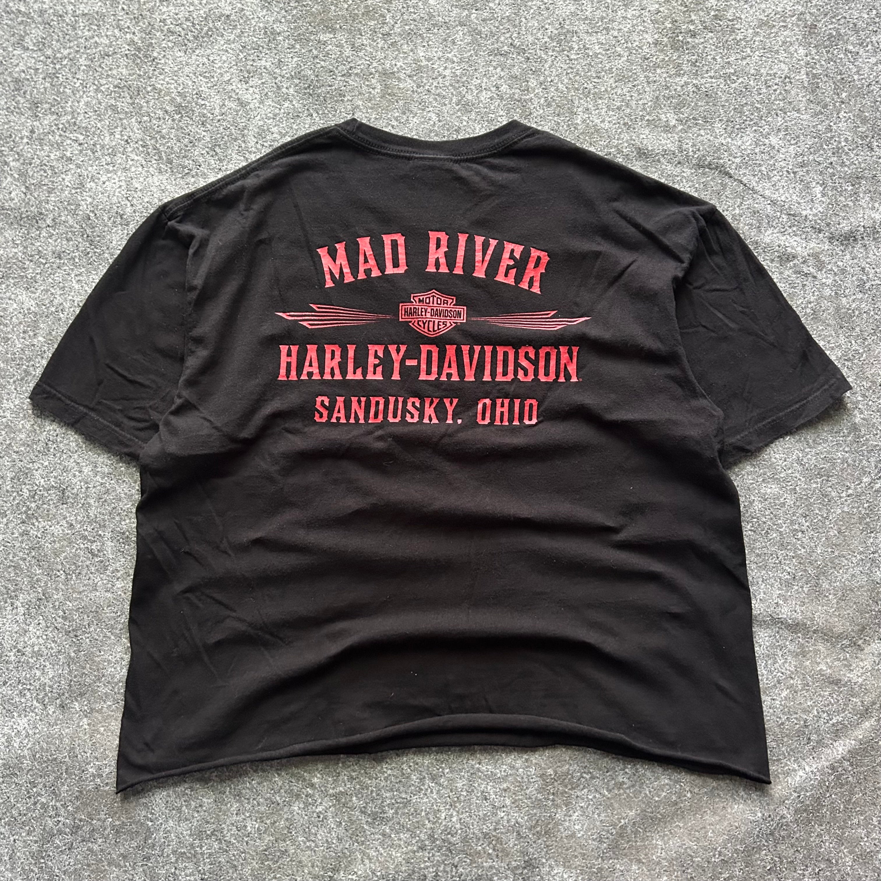 Vintage Harley Davidson Skull & Engine Cropped T-shirt