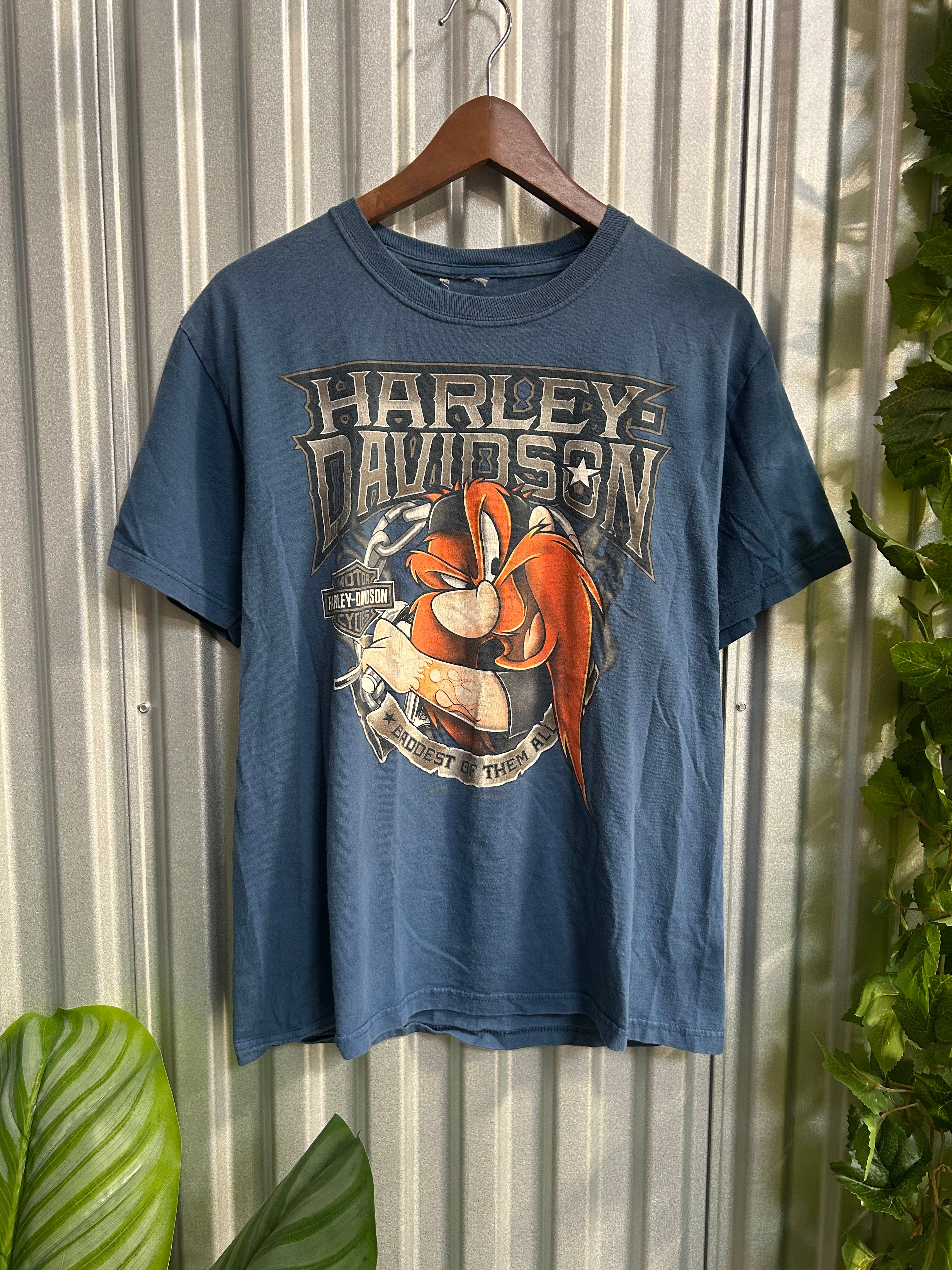 Vintage Harley Davidson Warner Bros Baddest of Them All T-shirt - Size Large