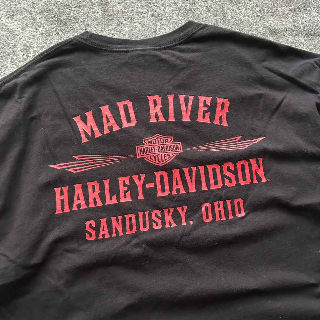 Vintage Harley Davidson Skull & Engine Cropped T-shirt