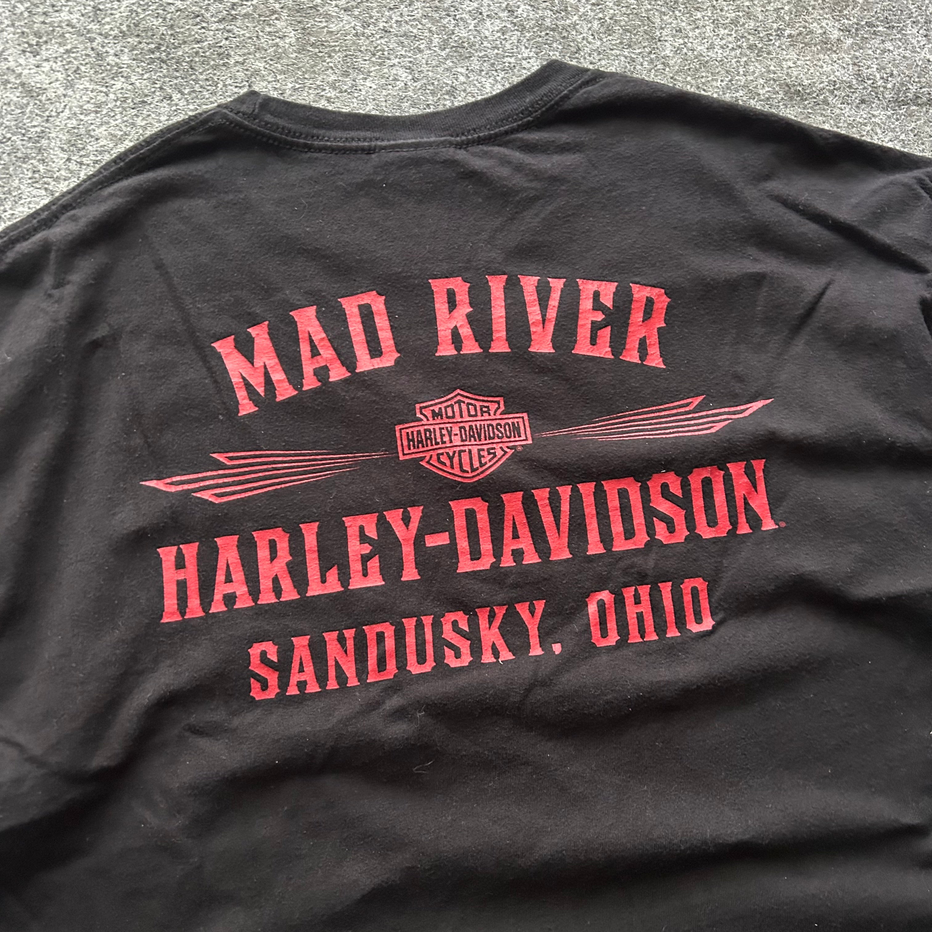 Vintage Harley Davidson Skull & Engine Cropped T-shirt