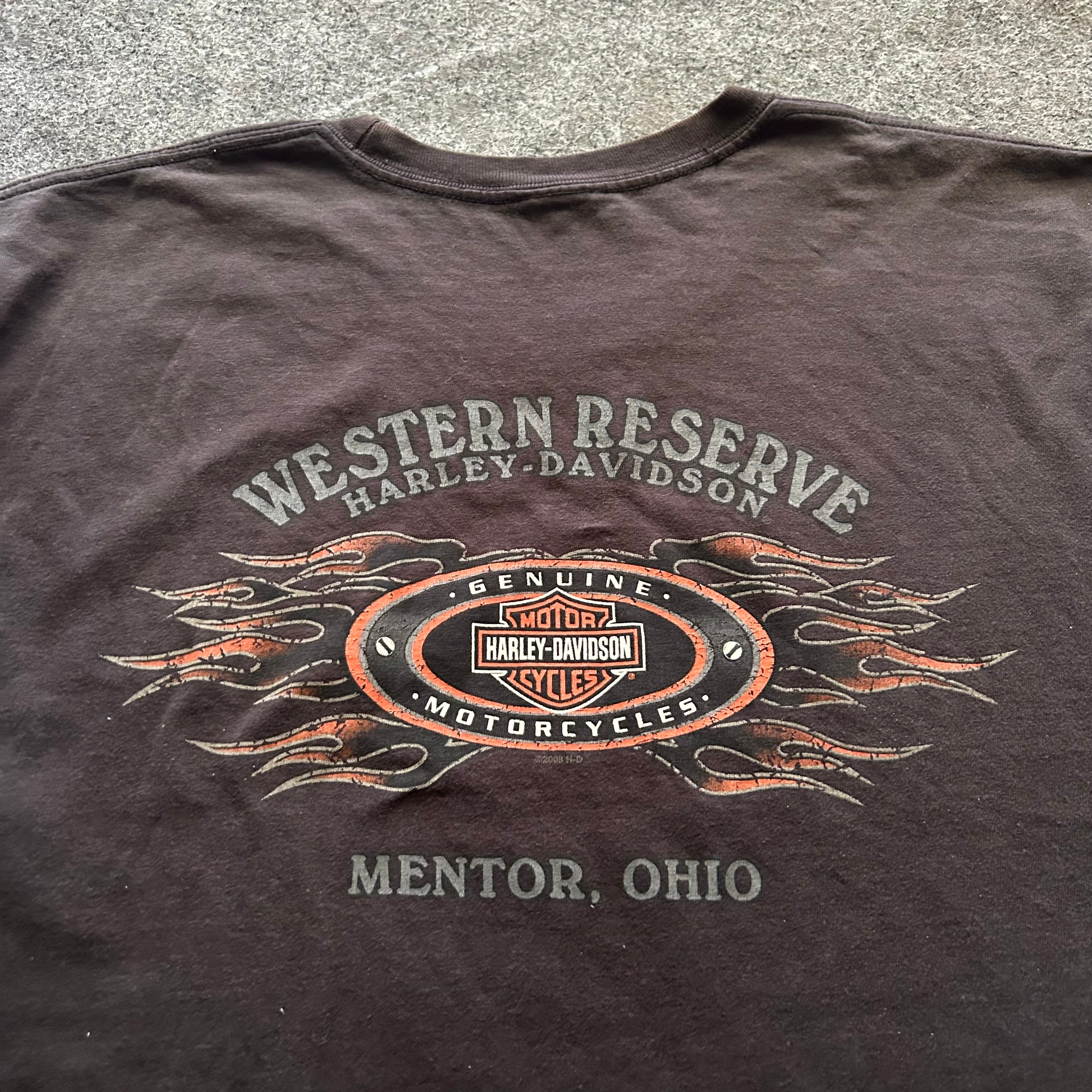 Vintage Harley Davidson Flame Graphic T-shirt
