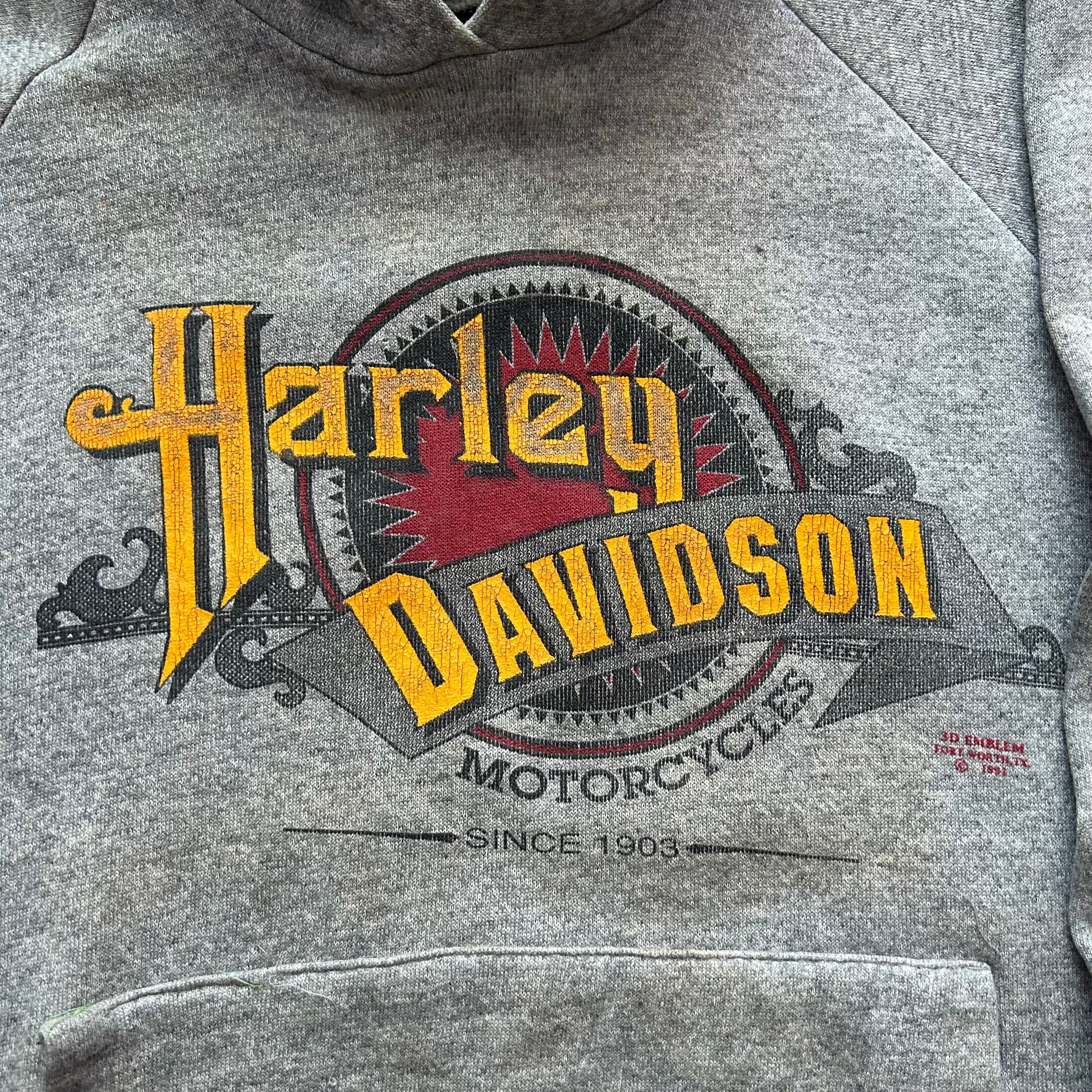 Vintage Harley Davidson 3D Emblem Hoodie