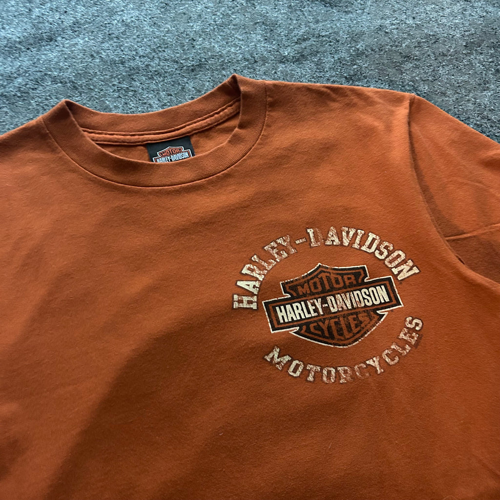 Vintage Harley Davidson Hampton Roads Orange T-shirt
