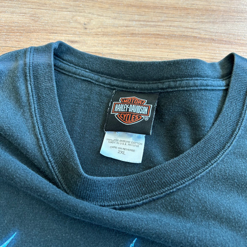 Vintage Harley Davidson Blue Flame Long Sleeve Shirt - Size XL